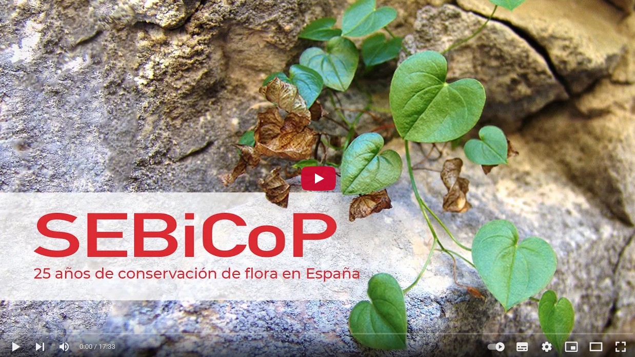 SEBiCoP: 25 años de conservación de flora en España