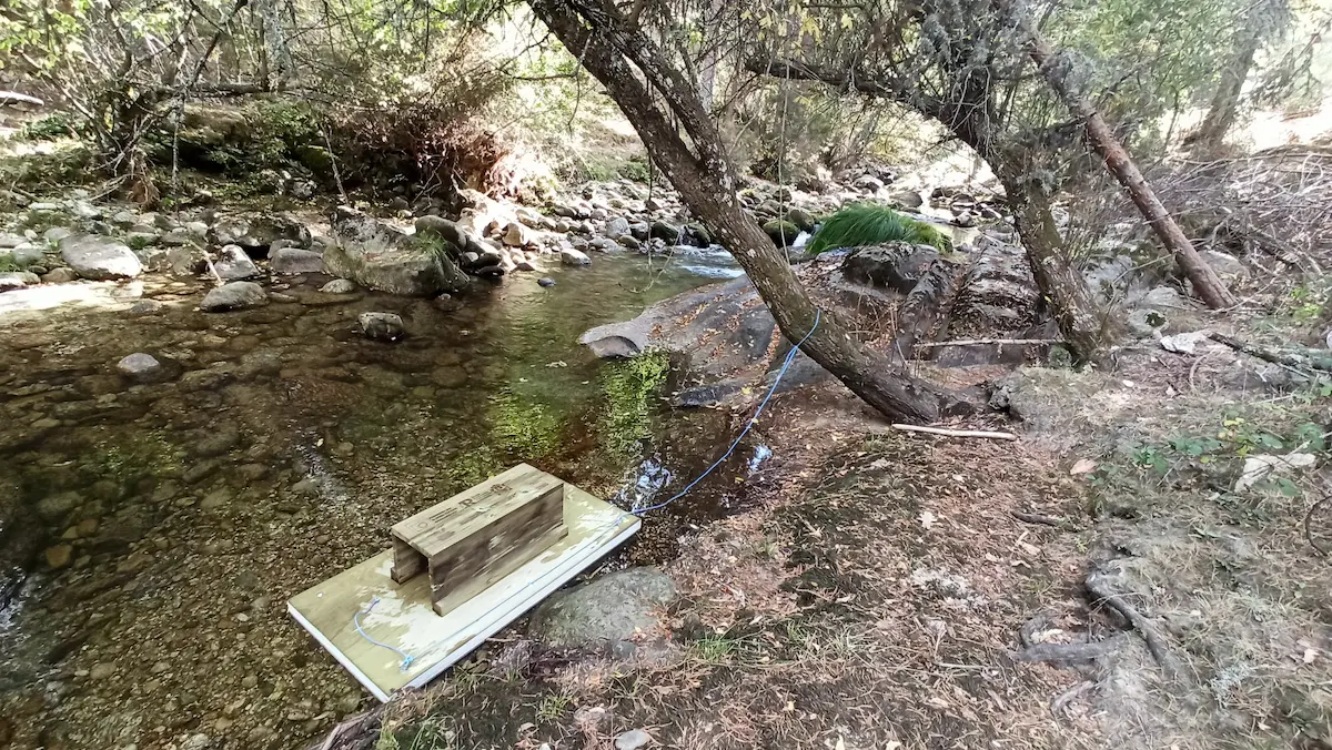 Plataformas flotantes para el control del visón americano