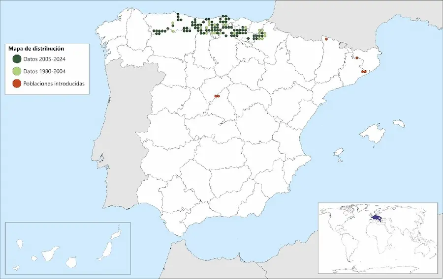 El tritón alpino en Guadarrama: de especie legendaria a especie a eliminar