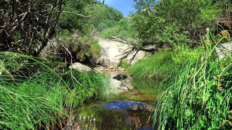 Seguimiento de la calidad ecológica de ríos y arroyos